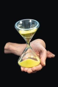 'Hour glass' chosen by Prof. Mette Eilstrop-Sangiovanni - credit Diana Scarborough