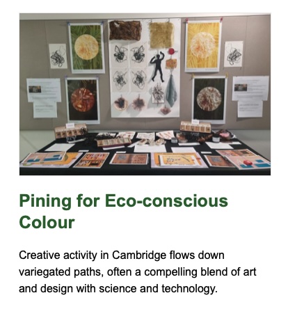 Armadillo Central Blog Pining for Eco-Conscious Colour