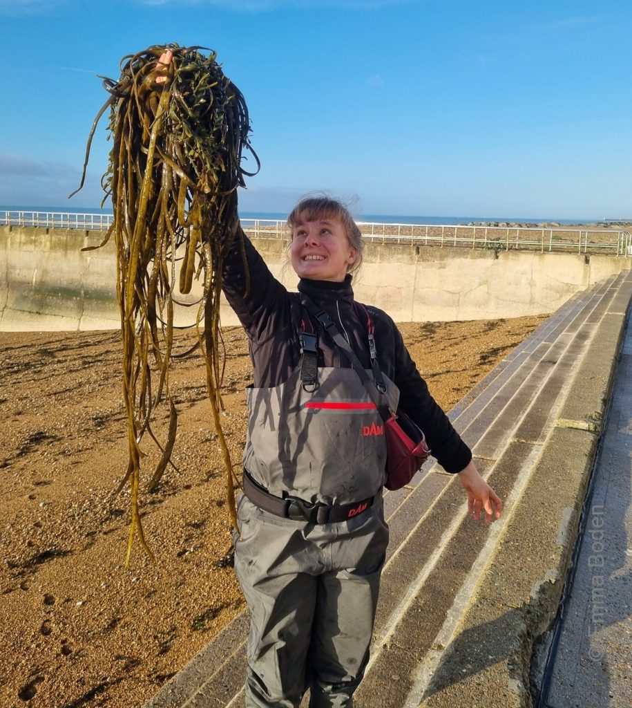 Alberte Holmø Bojesen with sea spaghetti © Emma Boden