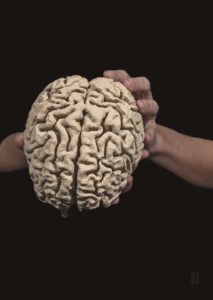 two hands holding a model of a brain