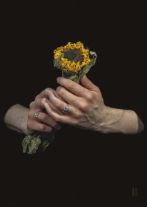 two hands holding a dried sunflower