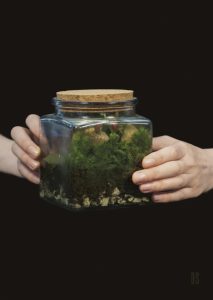 two hands holding a terrarium jar with plants inside